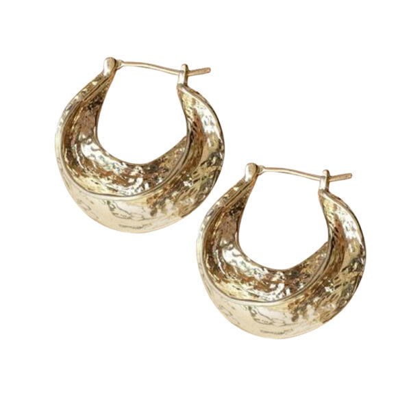 Silvesto India 925 Sterling Silver Gold Micron Plated Women Earring